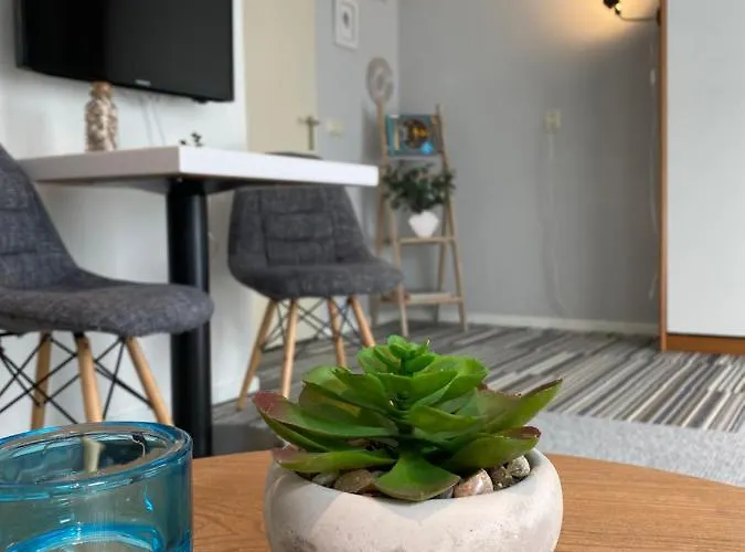 Apartment Texelheerlijk 10 *