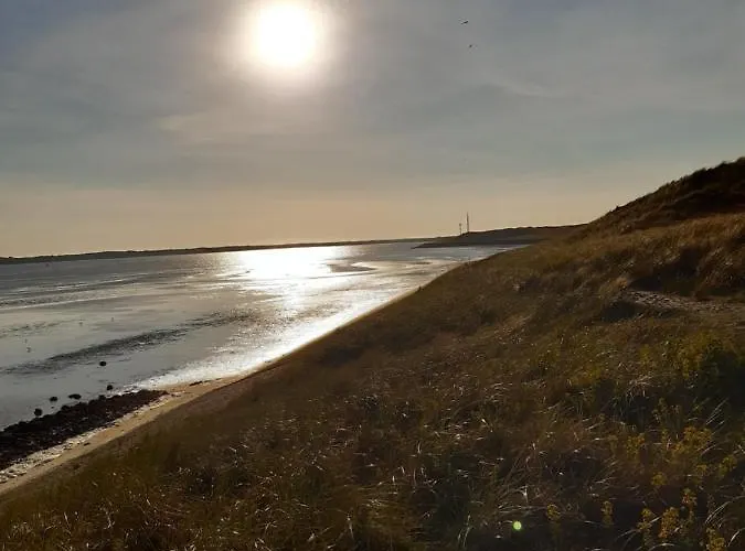Appartement Texelheerlijk 10 De Koog (Texel)