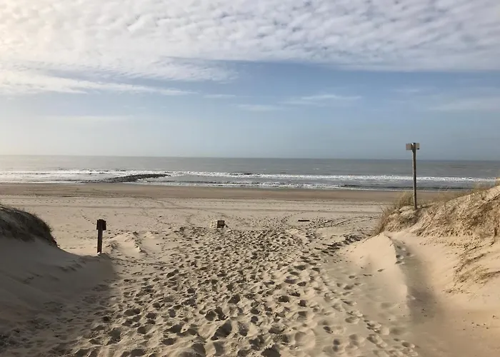 Texelheerlijk 10 Appartement