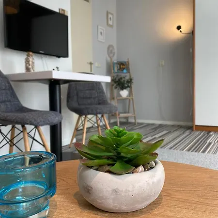 아파트 Texelheerlijk 10 *