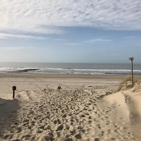 Texelheerlijk 10 아파트